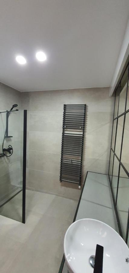 Casa Achim Hotell Baia Mare Exteriör bild