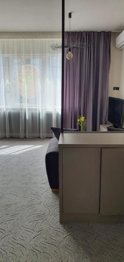 Casa Achim Hotell Baia Mare Exteriör bild